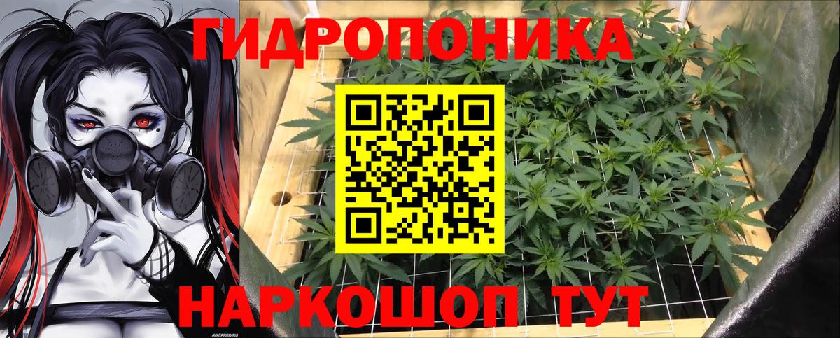 Марихуана Amnesia  Канабис SATIVA & INDICA  Бошки марихуана VHQ  Марихуана планчик  Дальнегорск  Вход с VPN 